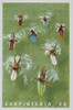 The Vintage Journal Colorful Surfers And Surf Boards In Green Water, Carpinteria (Pocket Sized - Found Image Press Journals)