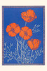 Vintage Journal Popies (Pocket Sized - Found Image Press Journals)