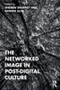 The Networked Image In Post-Digital Culture