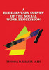 A Rudimentary Survey Of The Social Work Profession