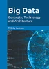 Big Data: Concepts, Technology And Architecture