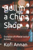 Bull In A China Shop: Evolution Of A Racial Justice Activist