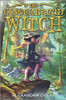 The Gingerbread Witch