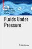 Fluids Under Pressure (Advances in Mathematical Fluid Mechanics)