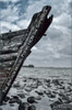 The Anchor Holds: Poems from the Shipwreck