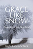 Grace Like Snow: Essays from the Heartland