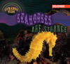 Seahorses Are Strange (Strange Fish)