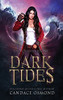 The Gilded Stone: A Time Travel Fantasy Romance (Dark Tides)