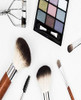 Glamorous Makeup Chart: Makeup Artist Face Chart