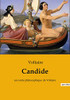 Candide: un conte philosophique de Voltaire (French Edition)