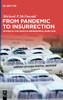 From Pandemic to Insurrection: Voting in the 2020 US Presidential Election