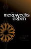 Merowechs Erben (German Edition)