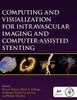 Computing And Visualization For Intravascular Imaging And Computer-Assisted Stenting (The Miccai Society Book Series)
