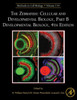 The Zebrafish: Cellular And Developmental Biology, Part B Developmental Biology (Volume 134) (Methods In Cell Biology, Volume 134)