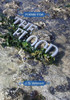 Poems For The Flood (Volume Ii)