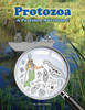 Protozoa; A Poseidon Adventure!