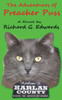 The Adventures Of Preacher Puss