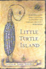 Little Turtle Island