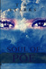 Soul Of Poe