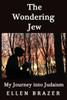 The Wondering Jew My Journey Into Judaism