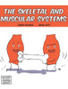Skeletal And Muscular Systems (Building Blocks Of Life Science 1/Hardcover)