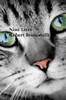 Nine Lives