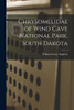 Chrysomelidae Of Wind Cave National Park, South Dakota
