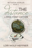 Between Worlds 2: The Distance (Large Print)