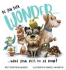 Do You Ever Wonder... What Your Pets Do At Home