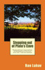 Stepping Out Of Plato'S Cave: Philosophical Counseling, Philosophical Practice, And Self-Transformation