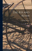The Rib And Adam