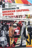 Approaches To American Cultural Studies