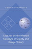 Lectures On The Infrared Structure Of Gravity And Gauge Theory