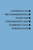 Consensus On Pre-Commissioning Stages For Cogeneration And Combined Cycle Power Plants