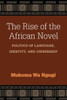 The Rise Of The African Novel: Politics Of Language, Identity, And Ownership (African Perspectives)
