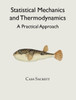 Statistical Mechanics And Thermodynamics: A Practical Approach