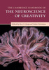 The Cambridge Handbook of the Neuroscience of Creativity (Cambridge Handbooks in Psychology)