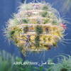 Airplantman (LookBook)