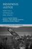 Indigenous Justice: New Tools, Approaches, and Spaces (Palgrave Socio-Legal Studies)