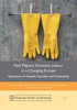 Paid Migrant Domestic Labour in a Changing Europe: Questions of Gender Equality and Citizenship (Citizenship, Gender and Diversity)