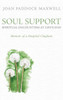 Soul Support: Spiritual Encounters At Life'S End