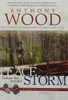 Peace Before The Second Storm: A Story Of The Civil War (A Tale Of Two Colors)