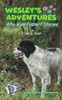Wesley'S Adventures: Who Runs Faster? Stories (Wesley'S Adventure Stories)