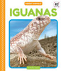 Iguanas (Desert Animals)