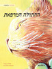 The Healer Cat (Hebrew ): Hebrew Edition of The Healer Cat - Hardcover