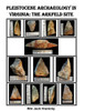 Pleistocene Archaeology In Virginia: The Arkfeld Site