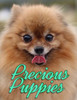 Precious Puppies (Dogs Picture Book - Precious Pooches)