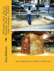 05 Vienna , Paris , Aix En Provence , Rom Budapest , Lake Constance , Zurich: Arya Bahram Art Photos Collection
