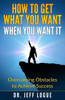 How To Get What You Want When You Want It: Overcoming Obstacles To Achieve Success