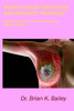 Breast Cancer Prevention And Wholistic Treatment: Natural Non-Toxic Chemotherapy For Breast Cancer